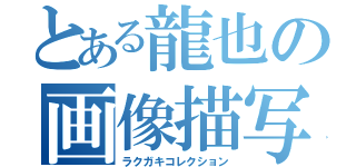 とある龍也の画像描写（ラクガキコレクション）