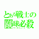 とある戦士の蹴球必殺（マーチシュート）