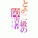 とある二級の障害者（バーサーカー）