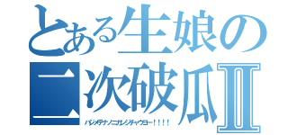 とある生娘の二次破瓜Ⅱ（ハジメテナノニカンジチャウヨー！！！！）