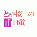 とある桜の山口蛍（）