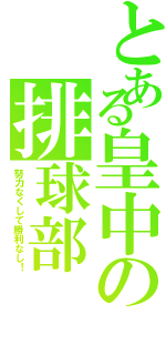 とある皇中の排球部Ⅱ（努力なくして勝利なし！）