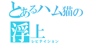 とあるハム猫の浮上（レビテイション）