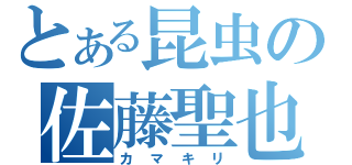 とある昆虫の佐藤聖也（カマキリ）