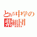 とある中学の紫組団（〜紫創栄進〜）