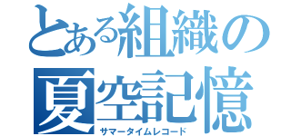 とある組織の夏空記憶（サマータイムレコード）