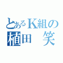 とあるＫ組の植田 笑（）