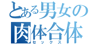 とある男女の肉体合体（セックス）