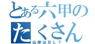 とある六甲のたくさんの謎（山岸はＢＬ？）