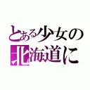 とある少女の北海道に転校物語（）