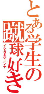 とある学生の蹴球好き（イシガミジュンヤ　）