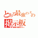 とある最強の犬の掲示板（最強の雑談ＢＡ☆）