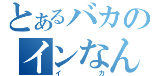 とあるバカのインなんとか（イカ）