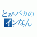 とあるバカのインなんとか（イカ）