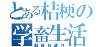 とある桔梗の学畜生活（勉強お疲れ）