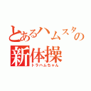 とあるハムスターの新体操（トラハムちゃん）