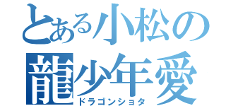 とある小松の龍少年愛（ドラゴンショタ）