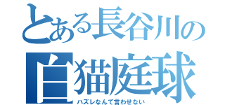 とある長谷川の白猫庭球（ハズレなんて言わせない）