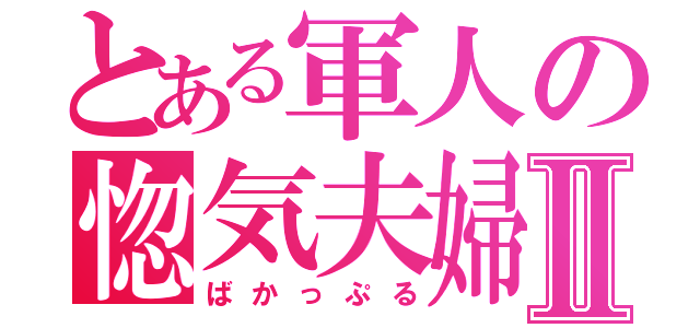 とある軍人の惚気夫婦Ⅱ（ばかっぷる）