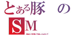 とある豚のＳＭ（次はどこを叩いてほしいんだい？）