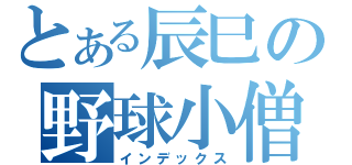 とある辰巳の野球小僧（￣＾￣）（インデックス）