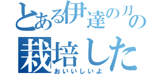 とある伊達の刀の栽培したトマト（おいいしいよ）