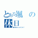 とある颯の休日（誰が見たいんだこれ？）