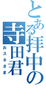 とある拝中の寺田君（おスネさま）