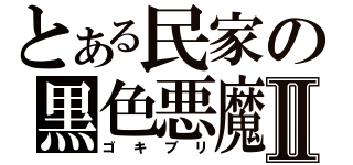 とある民家の黒色悪魔Ⅱ（ゴキブリ）