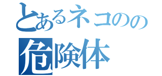 とあるネコのの危険体（）