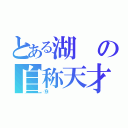 とある湖の自称天才（⑨）