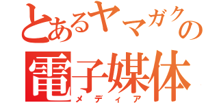 とあるヤマガクの電子媒体（メディア）