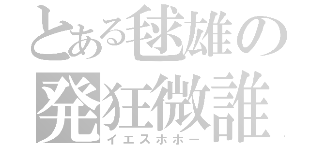 とある毬雄の発狂微誰（イエスホホー）