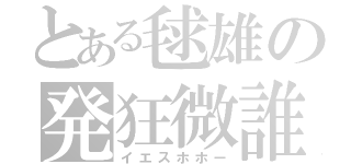 とある毬雄の発狂微誰（イエスホホー）