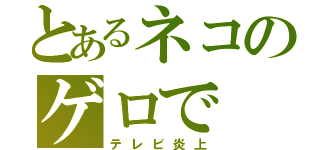 とあるネコのゲロで（テレビ炎上）