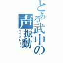 とある武中の声振動（バイブレート）