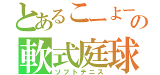 とあるこーよーの軟式庭球（ソフトテニス）