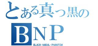 とある真っ黒のＢＮＰ（ＢＬＡＣＫ・ＮＡＢＡＬ・ＰＨＡＮＴＯＭ）