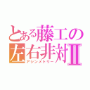 とある藤工の左右非対称Ⅱ（アシンメトリー）