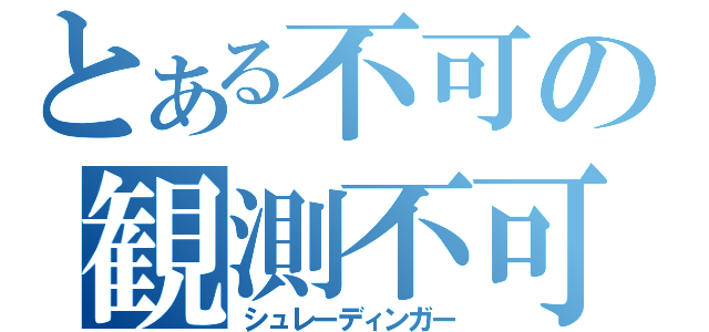 とある不可の観測不可（シュレーディンガー）