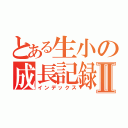 とある生小の成長記録Ⅱ（インデックス）