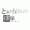 とある保坂の排球（バレ－ボール）