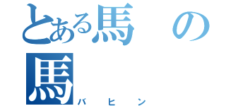 とある馬の馬（バヒン）