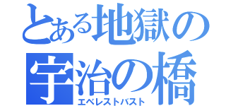 とある地獄の宇治の橋姫（エベレストバスト）