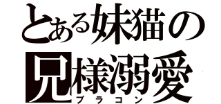 とある妹猫の兄様溺愛（ブラコン）