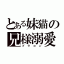 とある妹猫の兄様溺愛（ブラコン）