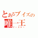 とあるブイズの唯一王（ブースター）