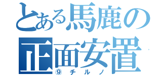 とある馬鹿の正面安置（⑨チルノ）