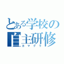 とある学校の自主研修（カマクラ）