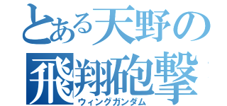 とある天野の飛翔砲撃（ウィングガンダム）